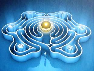 Мастер-класс “Женские гормоны. Кто кем управляет_»_0.jpg